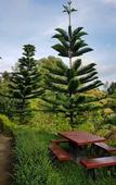 Туры в отель Mossview Resort Туры в отель Mossview Resort