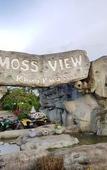 Туры в отель Mossview Resort Туры в отель Mossview Resort