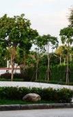 Туры в отель BY Hotel Kanchanaburi Туры в отель BY Hotel Kanchanaburi