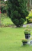 Туры в отель Sainamtok Resort Туры в отель Sainamtok Resort