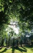 Туры в отель Sainamtok Resort Туры в отель Sainamtok Resort