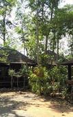 Туры в отель Pang Mai Resort Туры в отель Pang Mai Resort