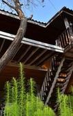 Туры в отель Rosemary House Туры в отель Rosemary House