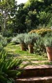Туры в отель Rosemary House Туры в отель Rosemary House