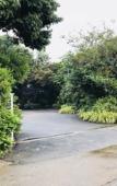 Туры в отель Muntra Garden Resort Туры в отель Muntra Garden Resort