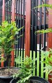 Туры в отель Thyme Xeriscape Hostel Туры в отель Thyme Xeriscape Hostel