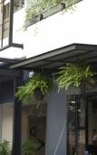 Туры в отель Blu Monkey Hotel Suratthani Туры в отель Blu Monkey Hotel Suratthani