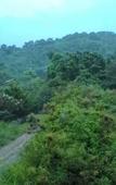Туры в отель Wattana Hill Resort Туры в отель Wattana Hill Resort