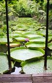 Туры в отель Sasi Nonthaburi Hotel Туры в отель Sasi Nonthaburi Hotel