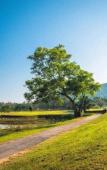 Туры в отель Grand Sattahip Hotel Туры в отель Grand Sattahip Hotel