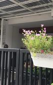 Туры в отель Autta House Туры в отель Autta House