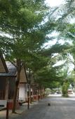 Туры в отель Thumneab Guesthouse Туры в отель Thumneab Guesthouse