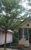Туры в отель Thumneab Guesthouse Туры в отель Thumneab Guesthouse