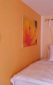Туры в отель Bunny Hill Resort Туры в отель Bunny Hill Resort