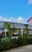 Туры в отель Bunny Hill Resort Туры в отель Bunny Hill Resort