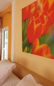Туры в отель Bunny Hill Resort Туры в отель Bunny Hill Resort