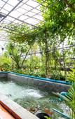 Туры в отель CS Klongtoey Grand Resort Туры в отель CS Klongtoey Grand Resort