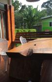 Туры в отель Baan Kiang Klong Resort Туры в отель Baan Kiang Klong Resort
