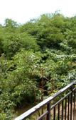 Туры в отель Baan Kiang Klong Resort Туры в отель Baan Kiang Klong Resort