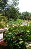 Туры в отель Baan Kiang Klong Resort Туры в отель Baan Kiang Klong Resort