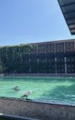 Туры в отель The Vita Plus Hotel Туры в отель The Vita Plus Hotel