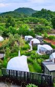 Туры в отель Glamping Hill Khaoyai Туры в отель Glamping Hill Khaoyai