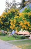 Туры в отель Thungwua laen resort Туры в отель Thungwua laen resort