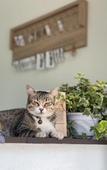 Туры в отель Ivory House Sriracha Туры в отель Ivory House Sriracha