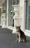 Туры в отель Ivory House Sriracha Туры в отель Ivory House Sriracha