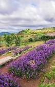 Туры в отель Vana homestay Туры в отель Vana homestay
