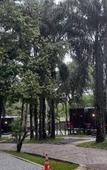 Туры в отель Nomads Homestay Sriracha Туры в отель Nomads Homestay Sriracha