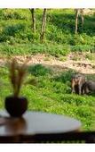 Туры в отель Wild Cottages Elephant Sanctuary Resort Туры в отель Wild Cottages Elephant Sanctuary Resort