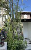 Туры в отель Lis Hotel Chiangmai Туры в отель Lis Hotel Chiangmai