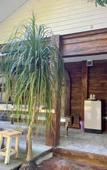 Туры в отель Punpoon Resort Туры в отель Punpoon Resort