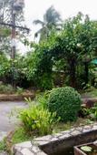 Туры в отель Chalet De Palm Resort Hatyai Туры в отель Chalet De Palm Resort Hatyai