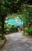 Туры в отель Chalet De Palm Resort Hatyai Туры в отель Chalet De Palm Resort Hatyai
