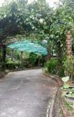 Туры в отель Chalet De Palm Resort Hatyai Туры в отель Chalet De Palm Resort Hatyai