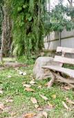 Туры в отель Chalet De Palm Resort Hatyai Туры в отель Chalet De Palm Resort Hatyai