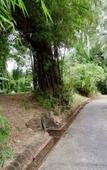 Туры в отель Chalet De Palm Resort Hatyai Туры в отель Chalet De Palm Resort Hatyai