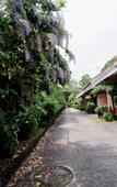 Туры в отель Chalet De Palm Resort Hatyai Туры в отель Chalet De Palm Resort Hatyai