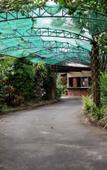 Туры в отель Chalet De Palm Resort Hatyai Туры в отель Chalet De Palm Resort Hatyai