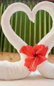 Туры в отель Chalet De Palm Resort Hatyai Туры в отель Chalet De Palm Resort Hatyai