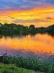 Туры в отель Tiny Island Lake Lodge Туры в отель Tiny Island Lake Lodge