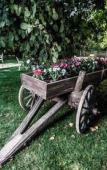 Туры в отель My Green Otel Туры в отель My Green Otel