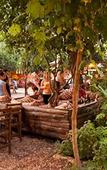 Туры в отель Bayrams Tree Houses Туры в отель Bayrams Tree Houses
