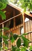 Туры в отель Bayrams Tree Houses Туры в отель Bayrams Tree Houses