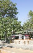 Туры в отель Karianda Hotel Туры в отель Karianda Hotel