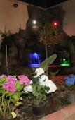 Туры в отель Oz Butik Otel Antik Kent Myrleia Туры в отель Oz Butik Otel Antik Kent Myrleia