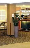 Туры в отель Novotel Туры в отель Novotel