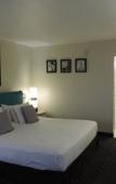 Туры в отель Floridian Hotel Туры в отель Floridian Hotel